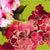 03NP-7231-3X