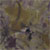 11JH-801